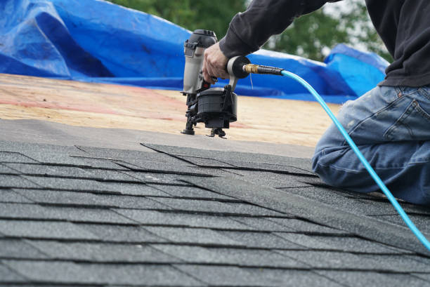 Best Roof Waterproofing  in Weidman, MI